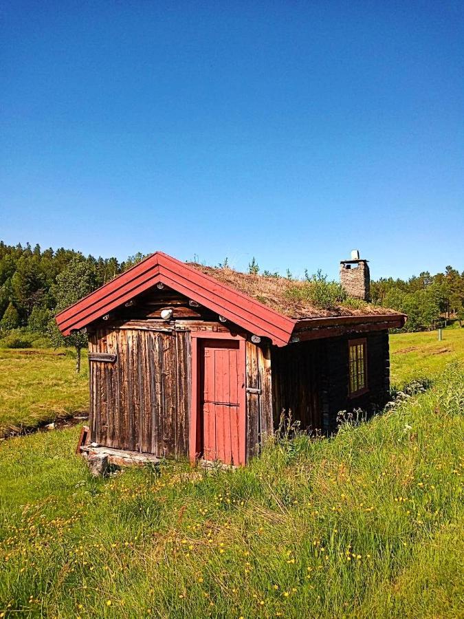 Rondane Friluftssenter Rondetunet Brenn Dış mekan fotoğraf
