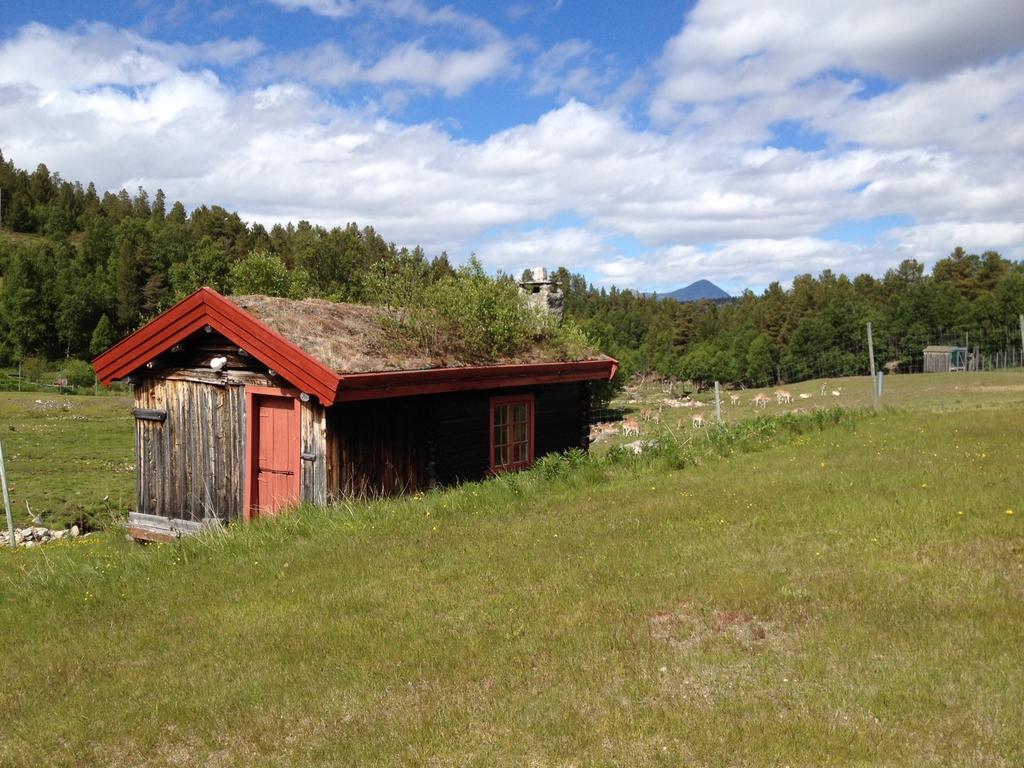 Rondane Friluftssenter Rondetunet Brenn Oda fotoğraf