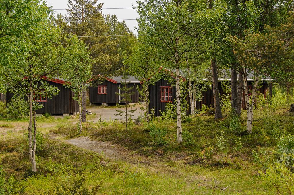 Rondane Friluftssenter Rondetunet Brenn Oda fotoğraf