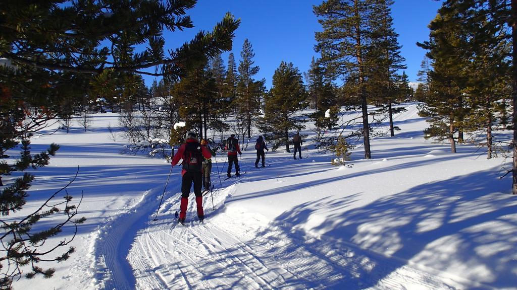 Rondane Friluftssenter Rondetunet Brenn Dış mekan fotoğraf