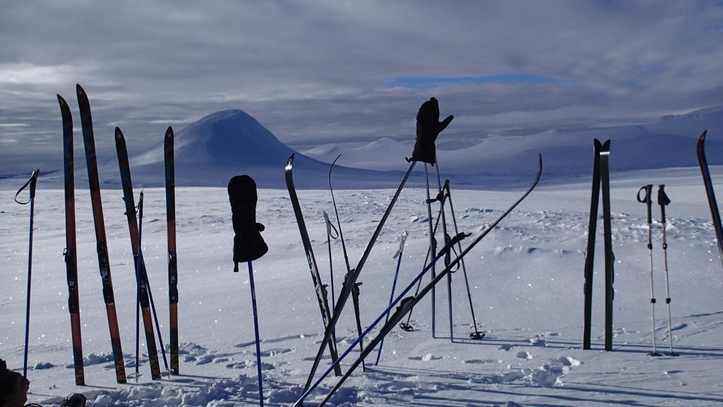 Rondane Friluftssenter Rondetunet Brenn Dış mekan fotoğraf
